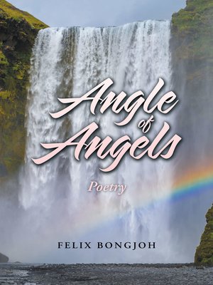 cover image of Angle of Angels